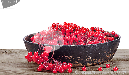 Image of Viburnum in cast iron frying pan