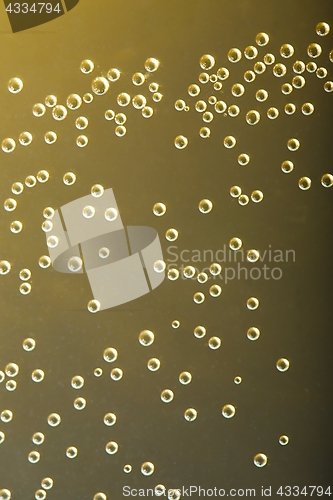 Image of Bubbles in liquid