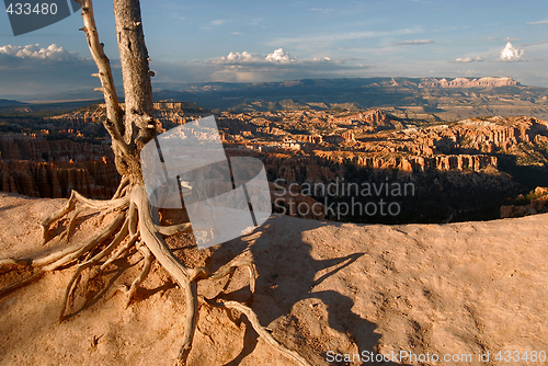 Image of Bryce Canyon, Arizona