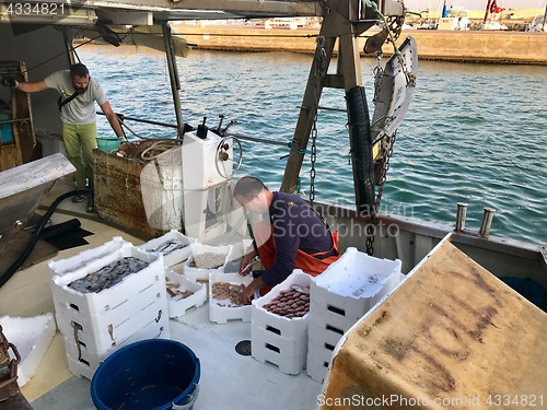 Image of A fisherman is sorting his catch on an anchored fishing-boat