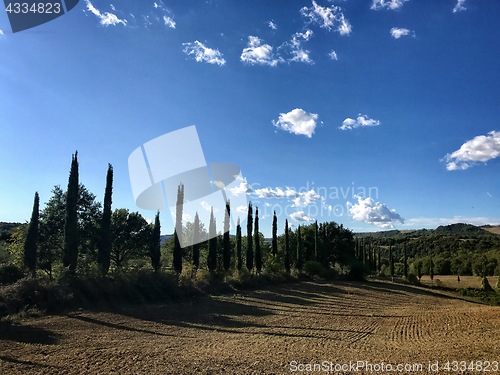 Image of Typical country road in Tuscany lined with cypress trees