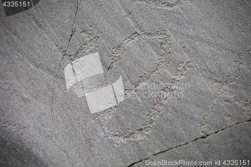 Image of prehistoric rock carving