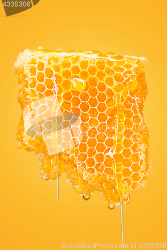 Image of Sweet honeycomb on yellow