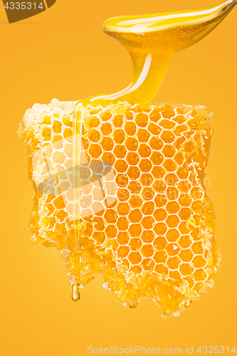 Image of Sweet honeycomb on yellow