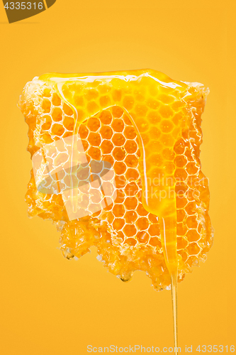 Image of Sweet honeycomb on yellow