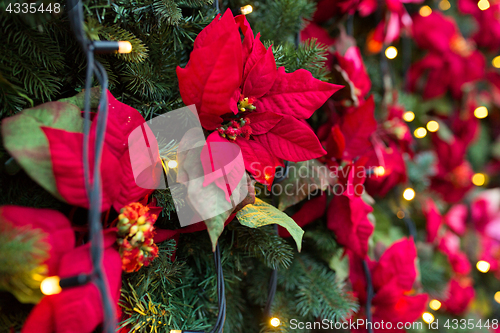 Image of close up of christmas tree with floral decorations