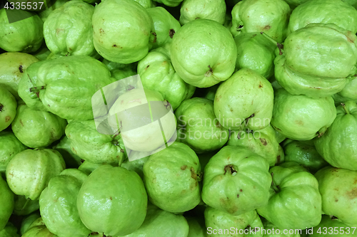 Image of Fresh guava selling in the market