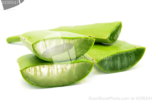 Image of Aloe vera fresh leaf isolated