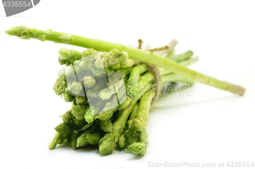 Image of Bundle of green asparagus shoots