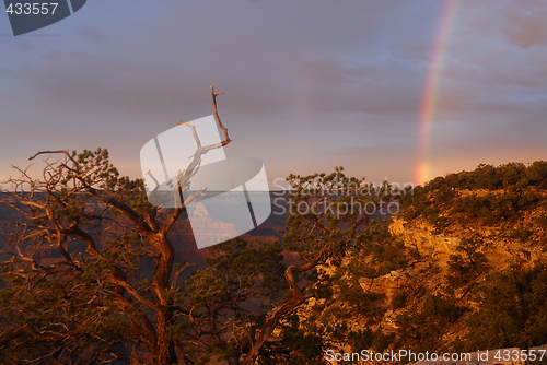 Image of Rainbow at Grand Canyon