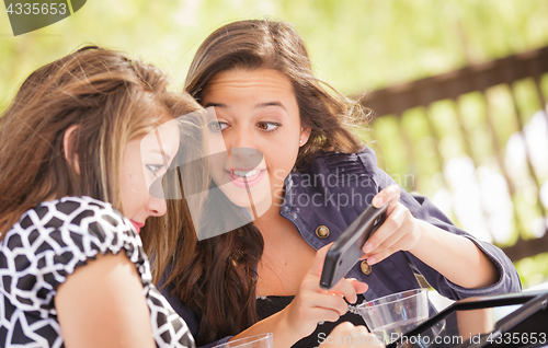 Image of Expressive Young Adult Girlfriends Using Their Computer Electron