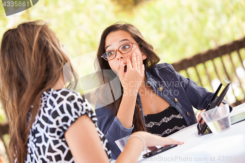 Image of Expressive Young Adult Girlfriends Using Their Computer Electron