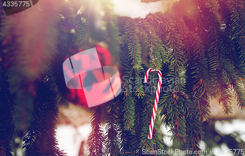 Image of candy cane and christmas ball on fir tree branch