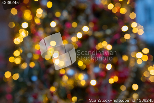 Image of fir tree with blurred christmas lights background