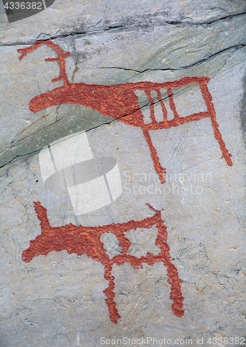 Image of prehistoric rock carving