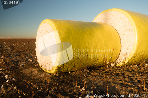 Image of Fresh Bail Harvest Cotton Farm Field Texas Agriculture