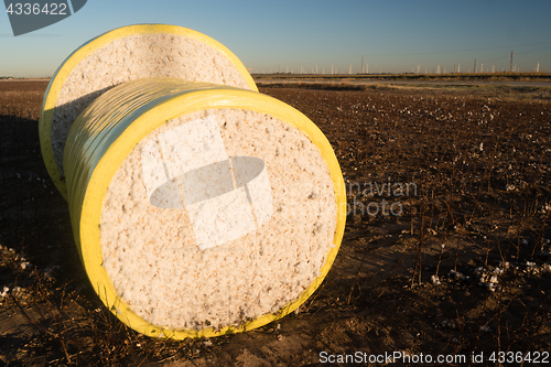 Image of Fresh Bail Harvest Cotton Farm Field Texas Agriculture