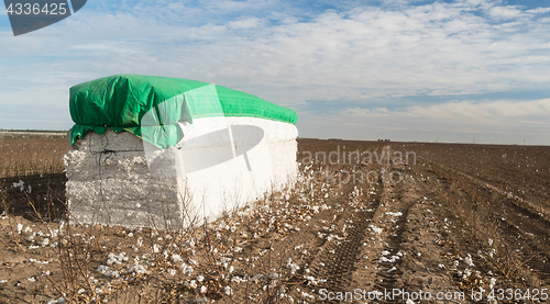 Image of Fresh Bail Harvest Cotton Farm Field Texas Agriculture