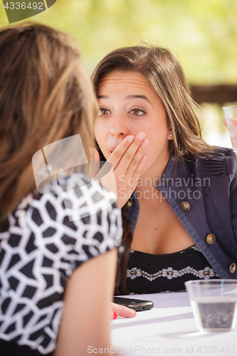 Image of Expressive Young Adult Woman Having Drinks and Talking with Her 