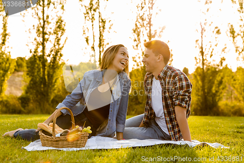 Image of Enjoying the day with a  picnic