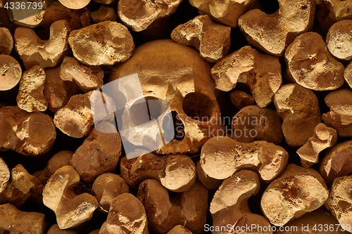 Image of Skulls and bones in a wall