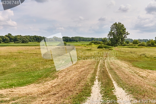 Image of Barren field in the countryside