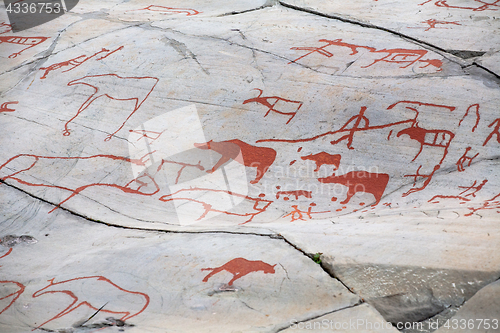 Image of prehistoric rock carving