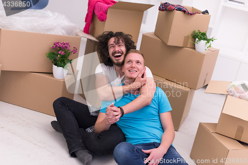 Image of young  gay couple moving  in new house