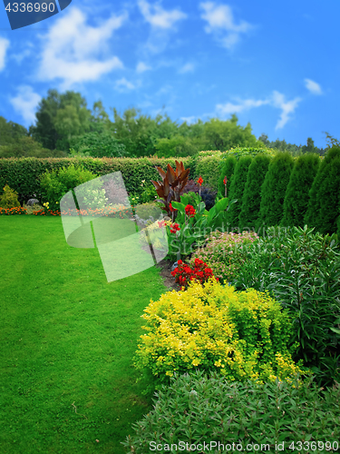 Image of summer flower garden