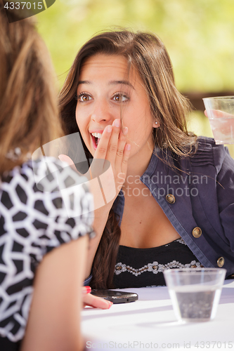 Image of Expressive Young Adult Woman Having Drinks and Talking with Her 
