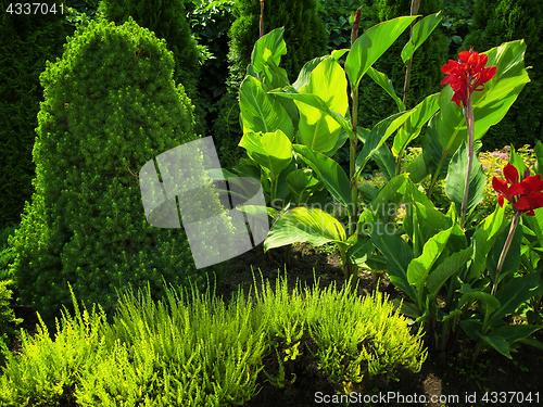 Image of summer flower garden