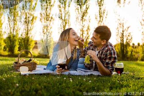 Image of Just us and a Picnic