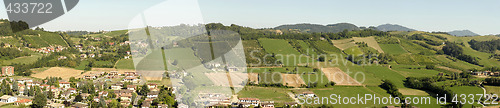 Image of Italian vineyards