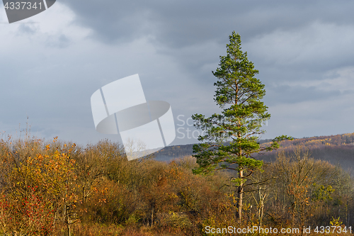 Image of Autumn landscape