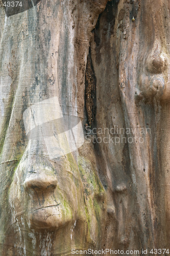 Image of Wood trunk with face shape, Sweden