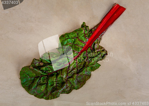 Image of Chard Leaf