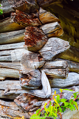 Image of An old building of an old notched seals in beautiful natural sur