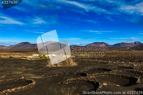 Image of Wine Region of Lanzarote off season