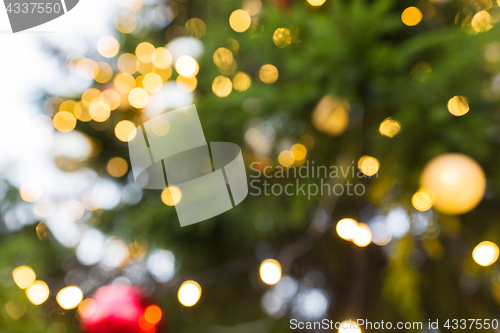 Image of fir tree with blurred christmas lights background