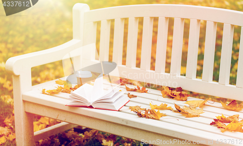 Image of open book and coffee cup on bench in autumn park