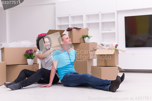 Image of young  gay couple moving  in new house