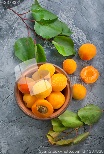 Image of fresh apricots