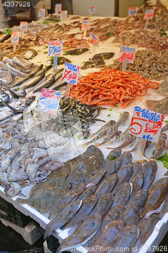 Image of Fish Market Naples