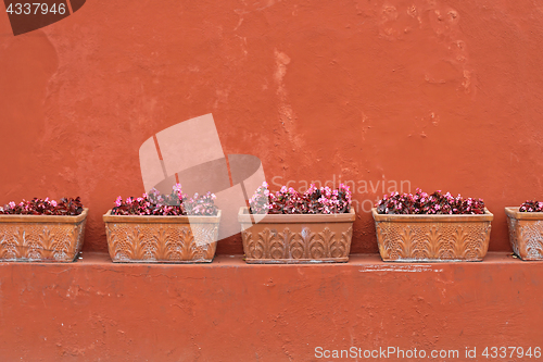 Image of Terracotta Wall Pots