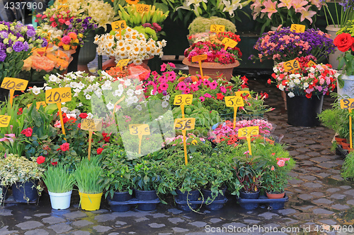 Image of Flower Shop