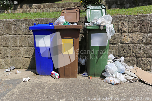 Image of Litter