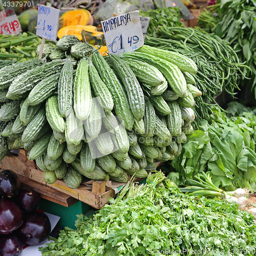 Image of Bitter Melon