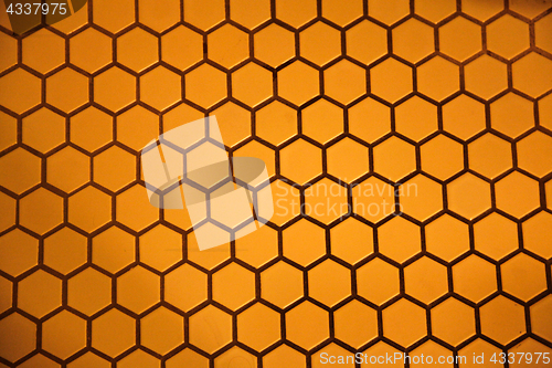 Image of Hexagon Floor