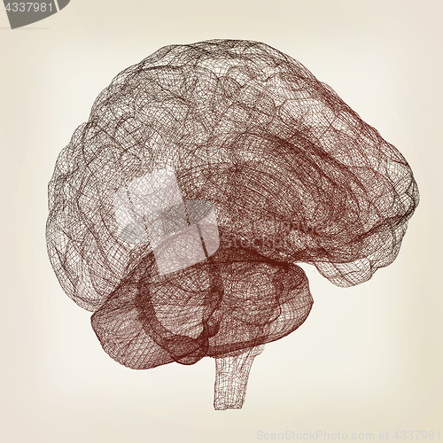 Image of Creative concept of the human brain. Vintage style.