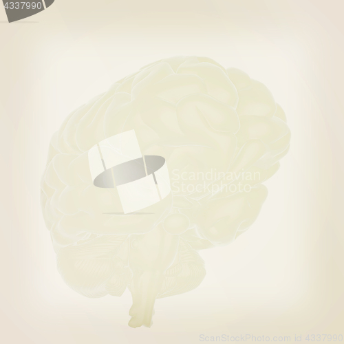 Image of 3D illustration of human brain. Vintage style.